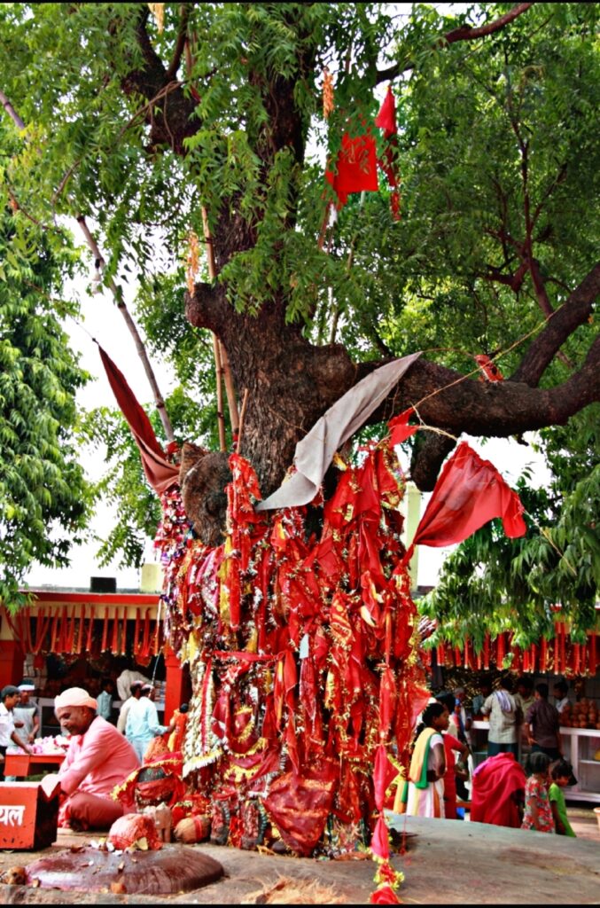 temples of Bihar