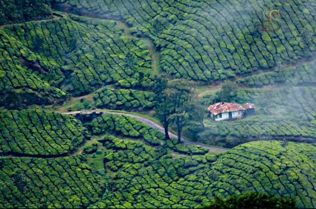 Tourist places in  Kerala