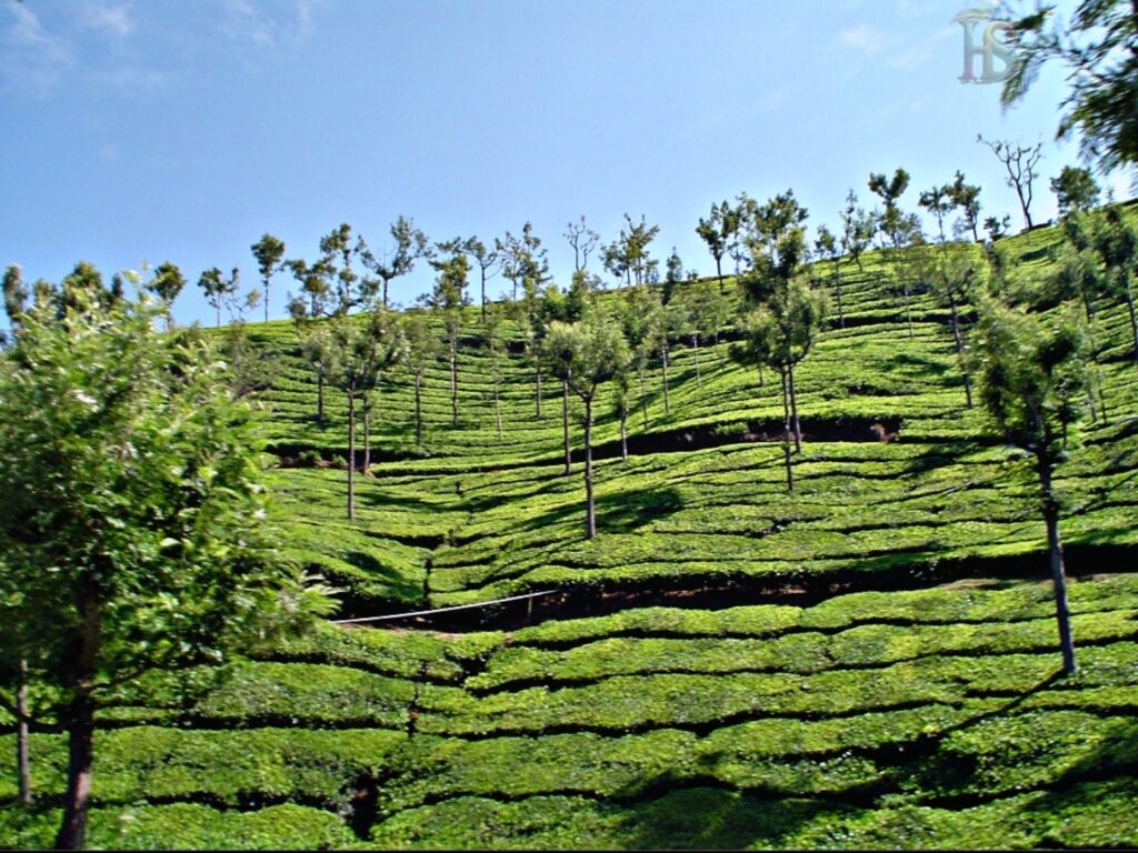 Tourist places in tamilnadu